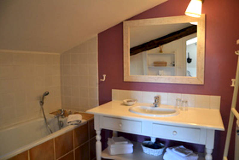 Lavendelreise in die Provence | naturerleben | Genießer-Wanderungen